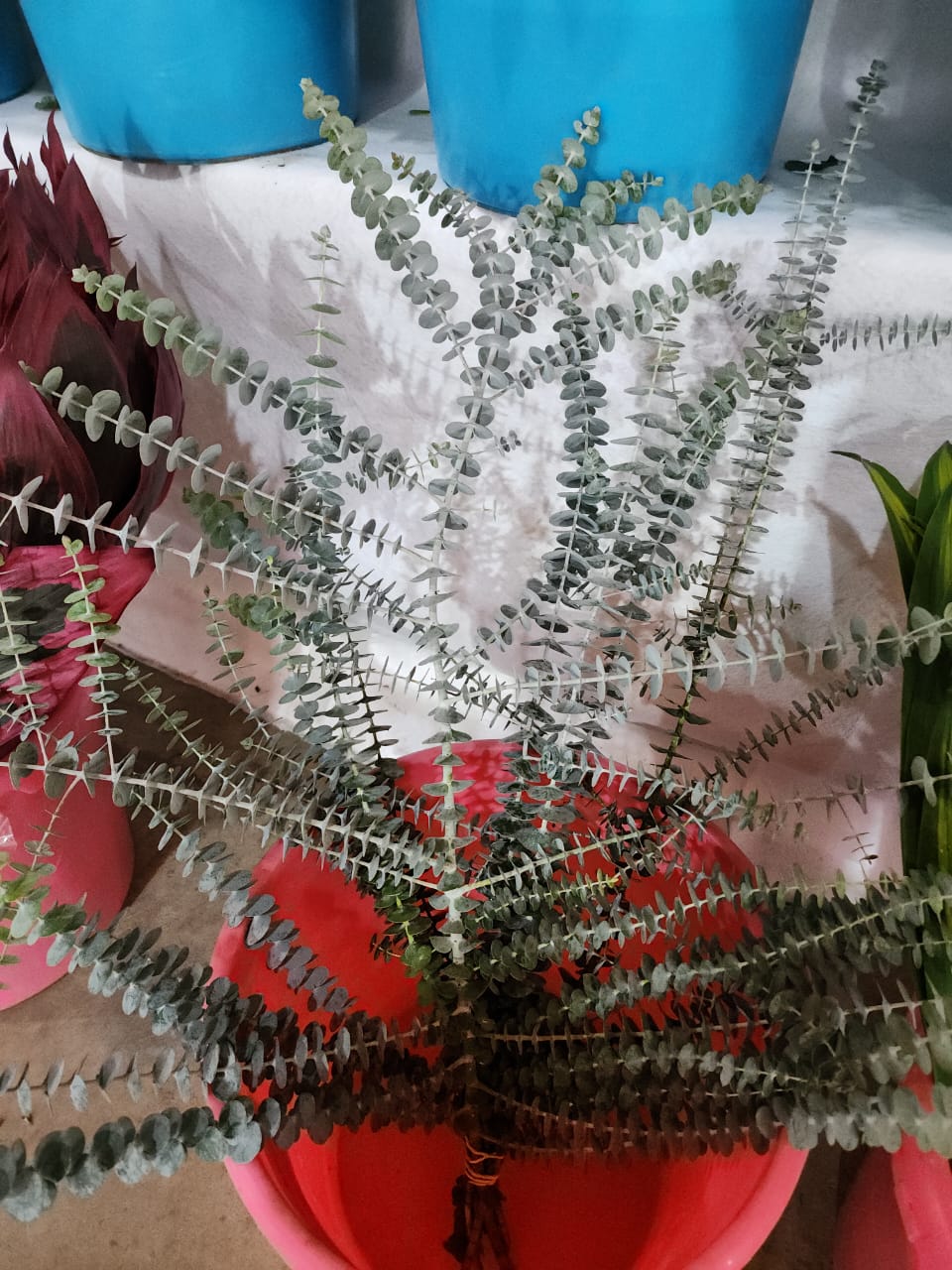image-2