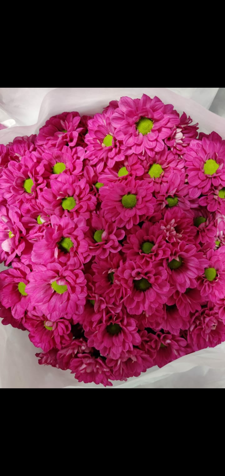 Image_K