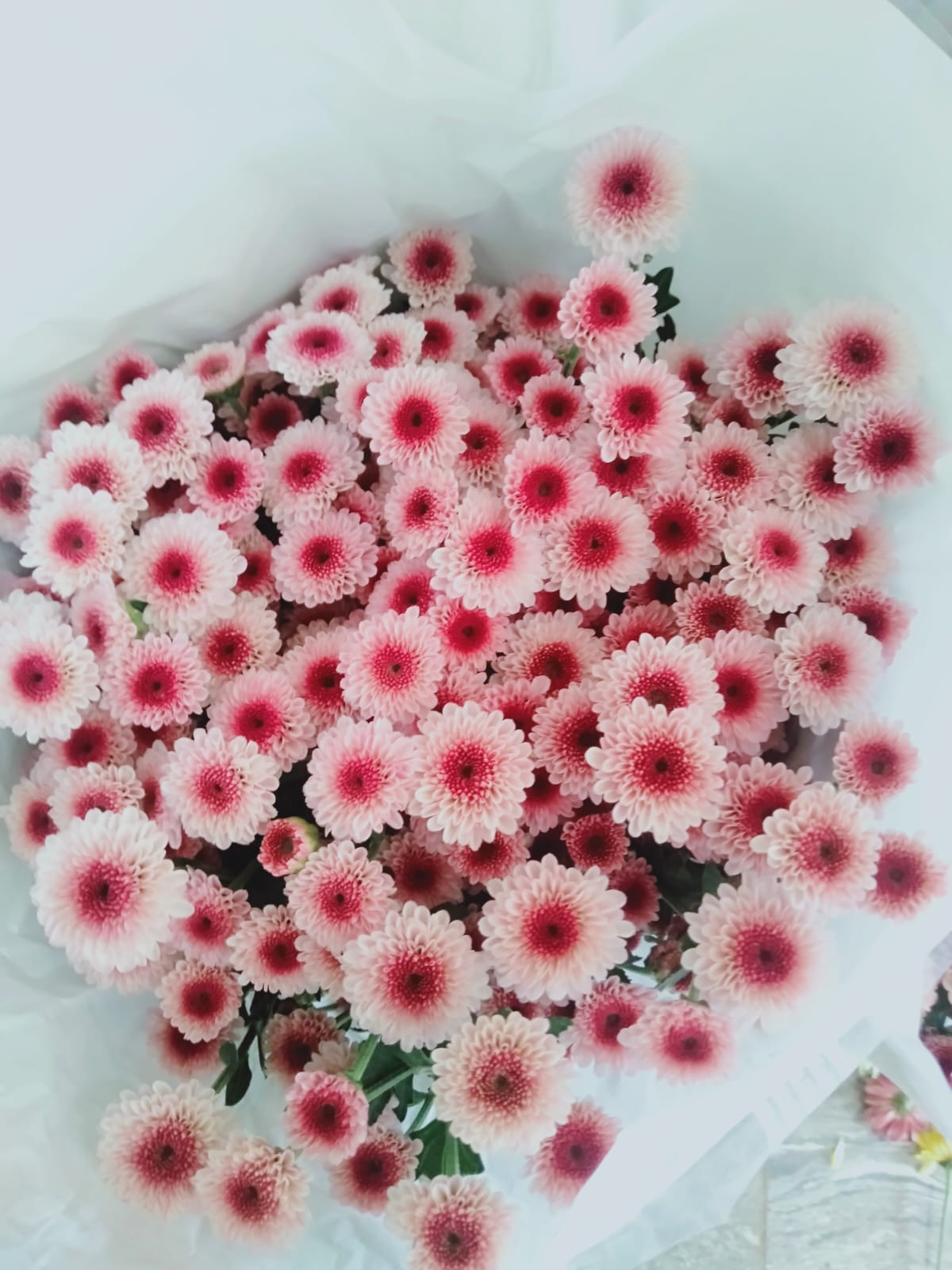 image_F