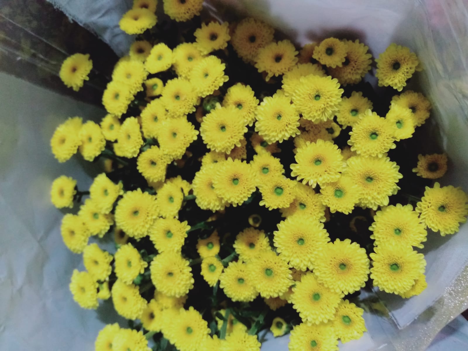 image_G