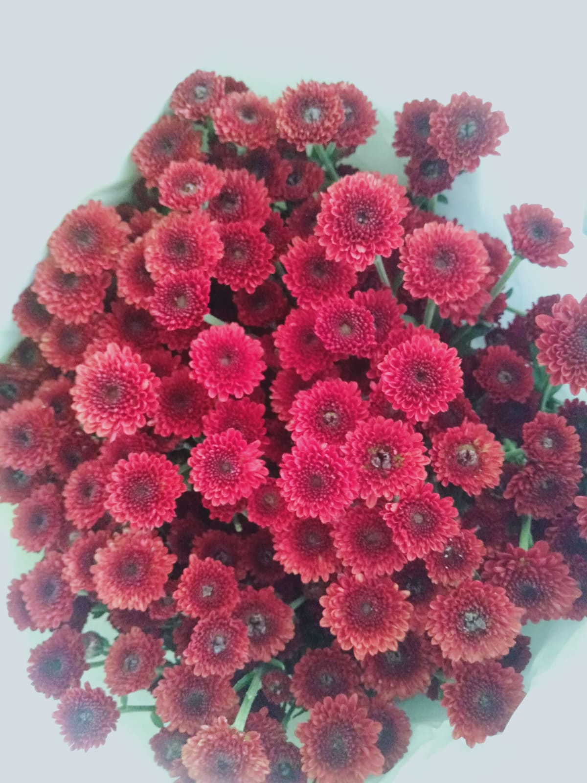 image_I