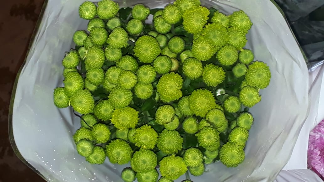 image_X